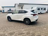 Lexus NX 300 300h Style * 1. Hand | MwSt. | Garantie * - Lexus aus 2021