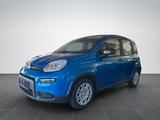 Fiat Pandina Cross Hybrid 1.0/PDC H/ - Fiat Panda Pandina mit Benzin-Antrieb