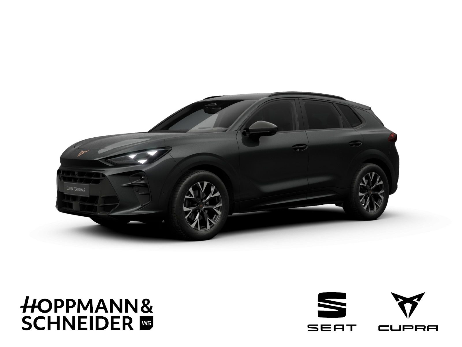 CUPRA Terramar 1.5 TSI DSG Navi LED SHZ ACC RFK