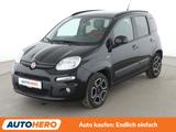 Fiat Panda 1.2 Lounge *KLIMA*GARANTIE* - Fiat Panda: Schwarz