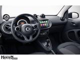 Smart smart EQ fortwo+Passion Exclusive+22KW+Winter-P. - Smart Gebrauchtwagen von 2024