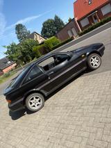 Nissan 100 NX 53.000km/ 1.Hand /Tüv 6/28 - Nissan 100 NX Gebrauchtwagen
