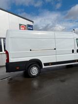 Opel Movano C Kasten Cargo L4H2 3,5t Edition - gebrauchte Opel Van