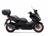 Honda NSS Forza 125 #26 Special Edition - Sofort verfü - HONDA 125 S