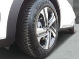 Kia Sorento HEV Platinum,AWD,7-Sitzer,SHZ v und h,Le - Kia Sorento Tageszulassungen
