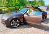 Audi A5 2.0 TDI 140kW quattro Cab. - - Audi A5: Braun, Leder