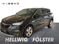 Opel Grandland Opel 2020 SHZ LenkradHZG PDCv+h DAB LE