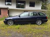 BMW Bmw 530d Touring E39 Vollausstattung - BMW 530: Kombi, 530d E39