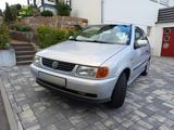 Volkswagen Polo 6N1 1.6 Comfortline | TÜV Jan. 28 | 86.000 - Volkswagen Polo: 86 C