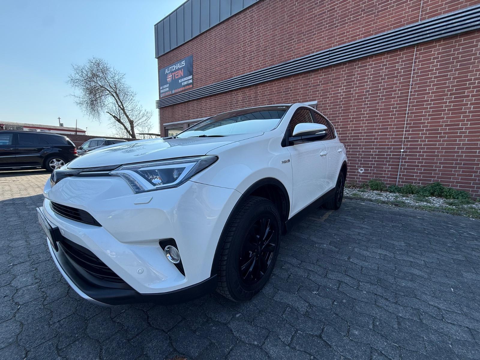 Toyota RAV 4 RAV4 Hybrid Team D *LED*KAM*NAVI