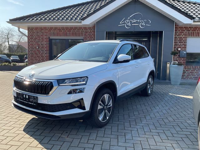 Skoda Karoq 1.5l TSI  DSG Tour,Kamera,Lenkradheizung