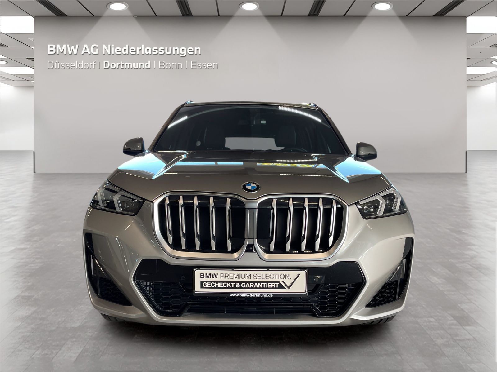 BMW X1 - Bild 8
