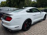 Ford Mustang Shelby GT500 - Ford Mustang: Shelby Gt500