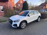 Volkswagen Audi Q2 35 TDI 8-fach bereift  2023 weiß 8... - scheckheftgepflegte VW T2