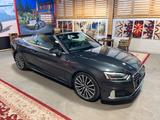 Audi A5 35 110 kW TFSI Sport, S-Tronic, LED, Leder - Audi A5 aus 2023