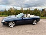 Jaguar XK8 Cabriolet / Zustand 2+ / HU neu - Jaguar XK8 aus 2001