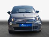 Fiat 500 1.0 Mild Hybrid Basis - Fiat 500 Gebrauchtwagen in Dresden