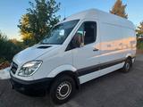 Mercedes-Benz Mercedes Sprinter 906 313 CDI L2H2 - Mercedes-Benz Sprinter: 906