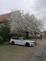 BMW 540d xDrive Touring A - - BMW 540 in Stuttgart