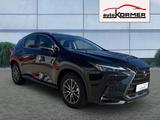 Lexus NX 350h E-FOUR Business CarPlay,Bi-LED,sofort - Lexus Gebrauchtwagen in München