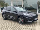 Ford Kuga ST-Line X Panorama Technologie Paket Winter - Ford Kuga Jahreswagen
