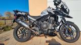 Triumph Tiger 1200 Alpine Edition - TRIUMPH T120