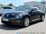 Volkswagen Beetle Cabriolet Allstar *Bi-Xenon*Leder*Kamera - Volkswagen Beetle ALLSTAR mit Benzin-Antrieb
