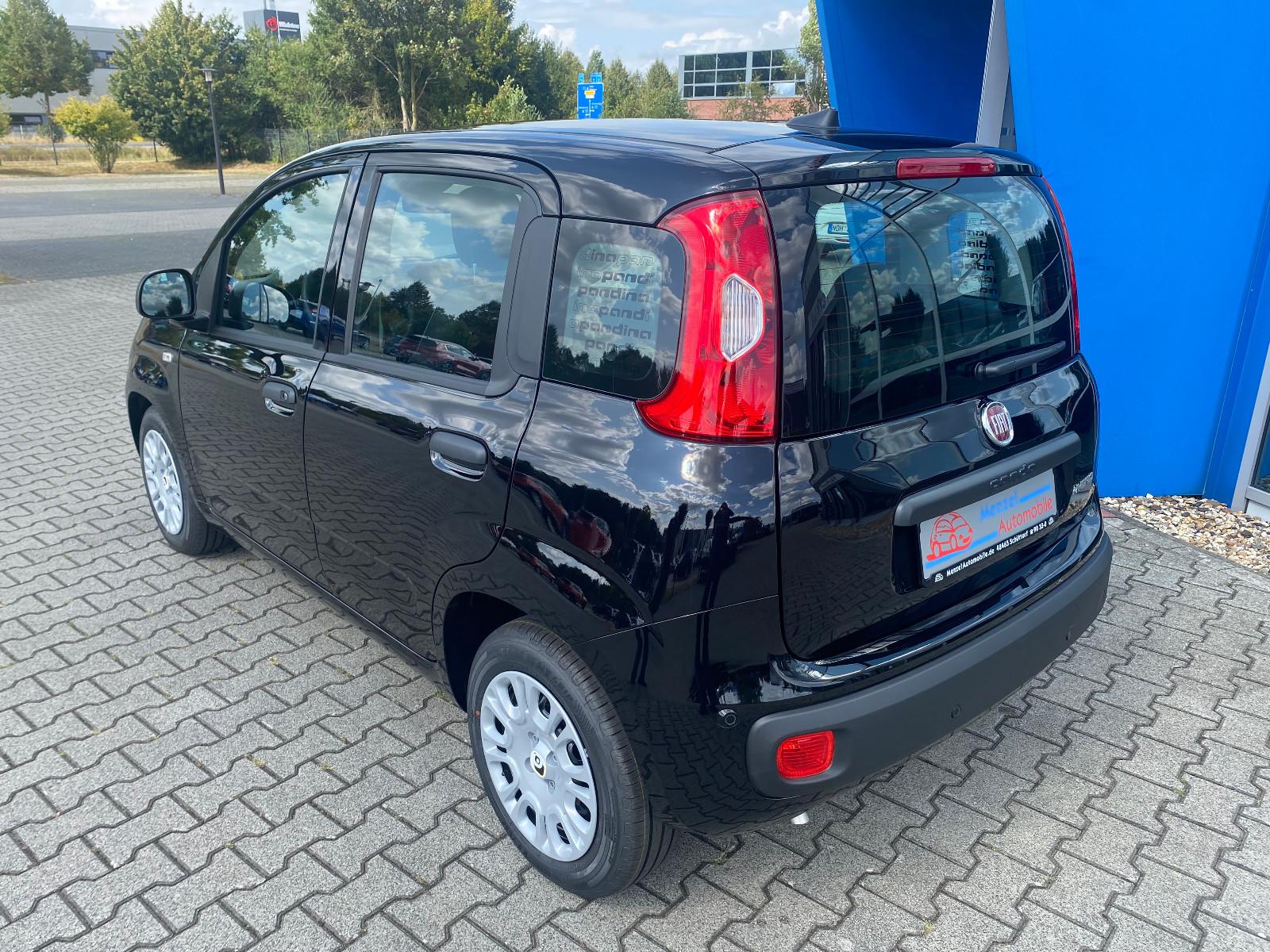 Fiat Pandina 1.0 GSE Hybrid ICON PDC Klima Temp DAB