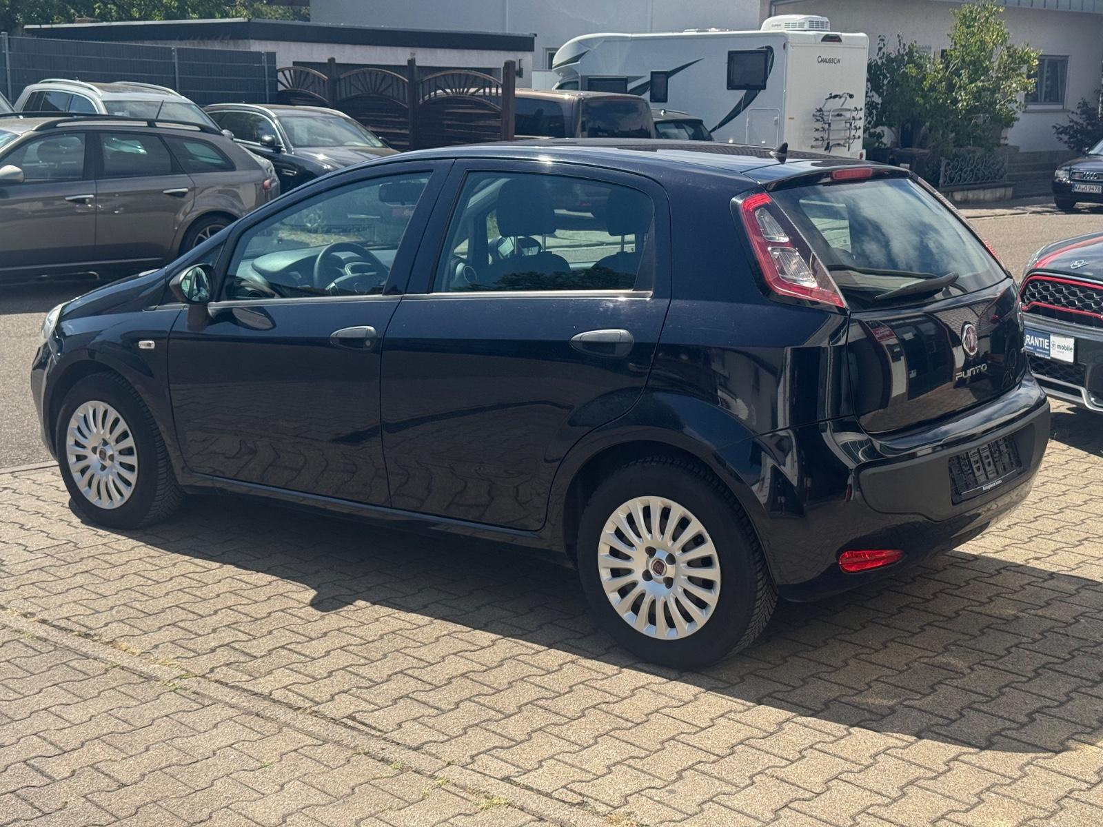 Fiat Punto Evo Active | 5 Türer | Klima