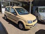 Fiat Panda 1.2 8V Dynamic Automatik Klima erst 58Tkm - Fiat Panda in Gelsenkirchen