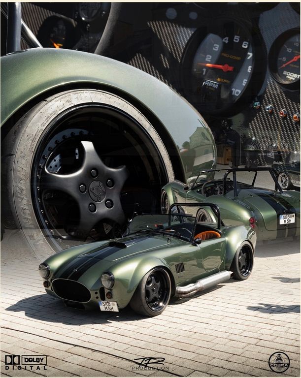 Cobra Andere