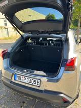 Lexus UX 300e Luxury Line Luxury Line - Lexus UX in Essen