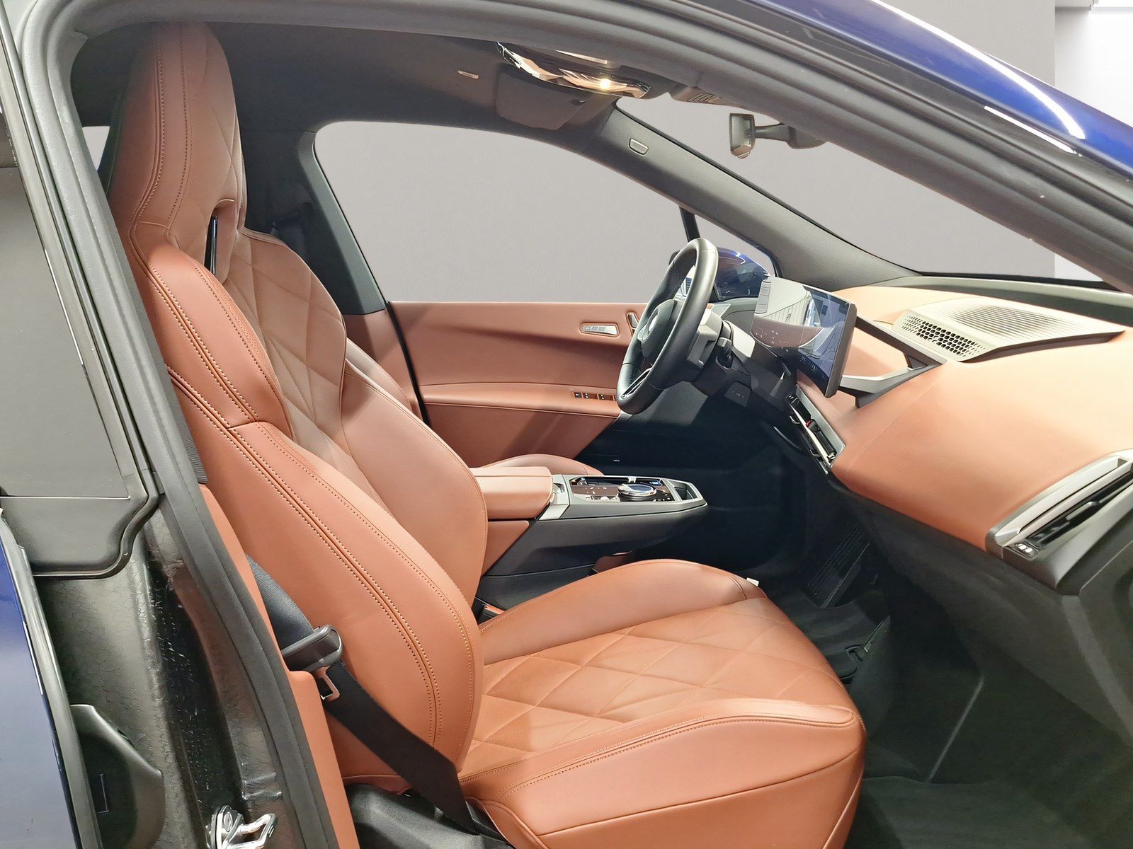 BMW iX - Bild 5
