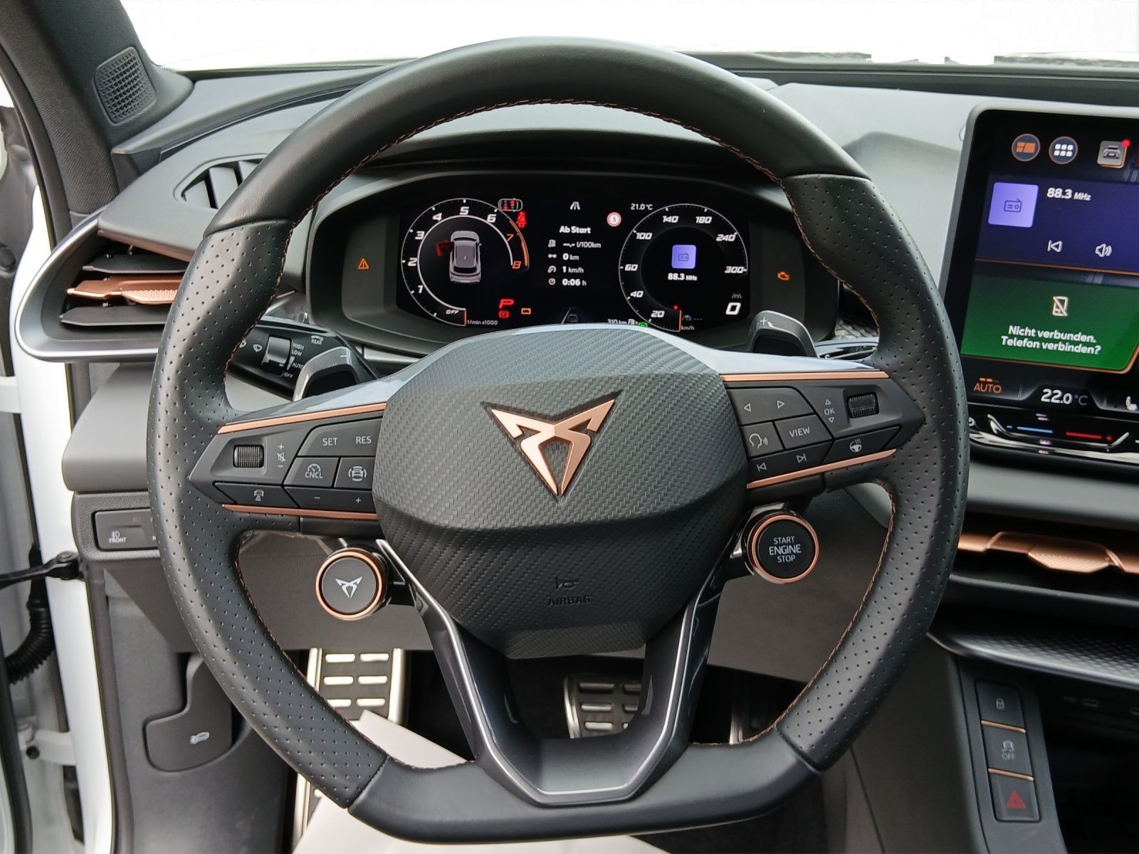 Cupra Terramar - Bild 10