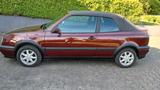 Volkswagen Golf 1.8 Standard - Volkswagen Golf: Standard