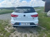 Seat Leon Cupra 300 / Carbon Edition/ 20 Zoll  - Seat Leon: 20