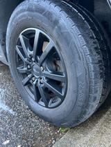 Renault STX Renault Master 2 Pferden   - Tier- & Pferdetransport für 2 Pferde