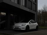 Tesla Model Y Long Range Dual Motor AWD 20 Zoll  - Tesla Gebrauchtwagen in Dortmund