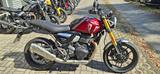 Triumph Speed 400 NEUZUGANG TOP - TRIUMPH 4 SPEED