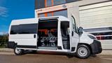 Fiat Ducato 9 Sitzer Systemboden Rolli Stock - Reisebus Sitze