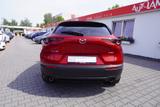 Mazda CX-30 2.0 2WD LED 360° Totwinkel Bose ACC - Mazda Gebrauchtwagen in Leipzig