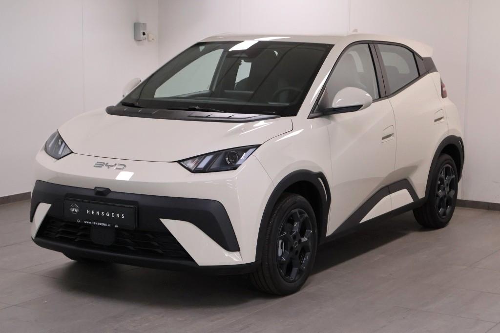BYD DOLPHIN SURF Dolphin Surf 65 kW Boost