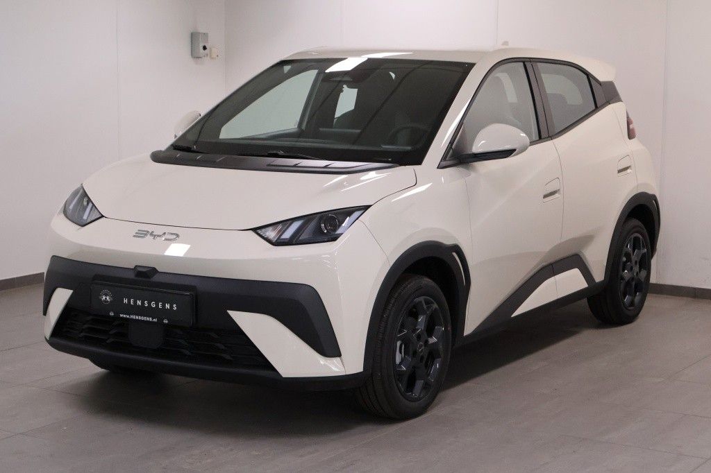 BYD DOLPHIN SURF Dolphin Surf 65 kW Boost