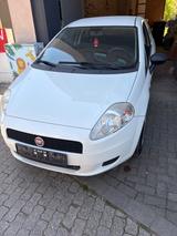Fiat  Punto 3 Türer Weiß  Guter Zustand - Fiat Punto: Weiß