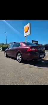 Skoda Superb 1.8 TSI Elegance Elegance - gebrauchte Skoda Superb aus dem Jahr 2008