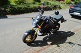 Honda FESTPREIS MSX 125 Griffheizung+ Bugspoiler - Offers matching your search criteria