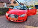 Audi A4 3.0 TDI  quattro 4x4 allrad cabrio s-line rot - Audi A4: Roadster, Rot