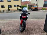 Triumph Tiger 900 GT Aragón Edition *Garantie 2027* - TRIUMPH TIGER 900