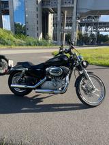 Harley-Davidson XL 883 C Sportster mit Miller Abgasanlage - HARLEY-DAVIDSON 883 SPORTSTER