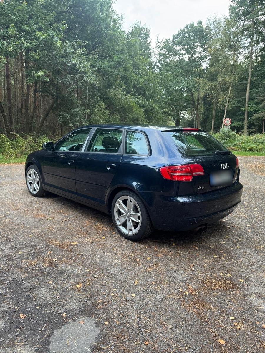 Audi A3 2009 — photo 7
